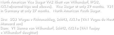 North American Vice Sieger VA2 Rhett von Wilhendorf, IPO2, KKL1a(normal hips and elbows).   Vice Sieger at only 29 months.  V31 in Germany at only 27 months.   North American Youth Sieger.Sire:  SG3 Wegas v Fichtenschlag, SchH3, KKL1a (VA1 Vegas du Haut Mansard son)Dam:  V1 Sienna von Wilhendorf, SchH2, KKL1a (VA1 Teejay v.Wilhendorf daughter)