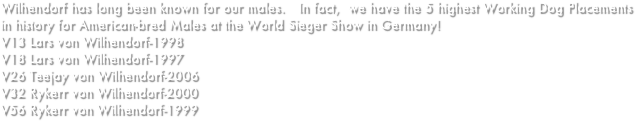 Wilhendorf has long been known for our males.   In fact,  we have the 5 highest Working Dog Placements in history for American-bred Males at the World Sieger Show in Germany!
V13 Lars von Wilhendorf-1998 
V18 Lars von Wilhendorf-1997
V26 Teejay von Wilhendorf-2006
V32 Rykerr von Wilhendorf-2000
V56 Rykerr von Wilhendorf-1999
